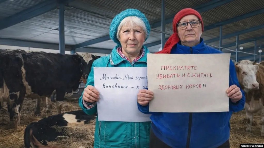 Губернатор Новосибирской области освободил от должности министра сельского хозяйства Андрея Шинделова, сославшись на многочисленные претензии к его работе и ситуацию с опасными заболеваниями животных и массовым изъятием скота, вызвавшим протесты в регионах.