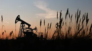 Доля нефтегазового сектора в ВВП РФ опустилась до минимальных значений с 2017 года, просев до 13% на фоне санкций, ограничений ОПЕК+, падения прибыли компаний и сокращения нефтегазовых доходов бюджета.