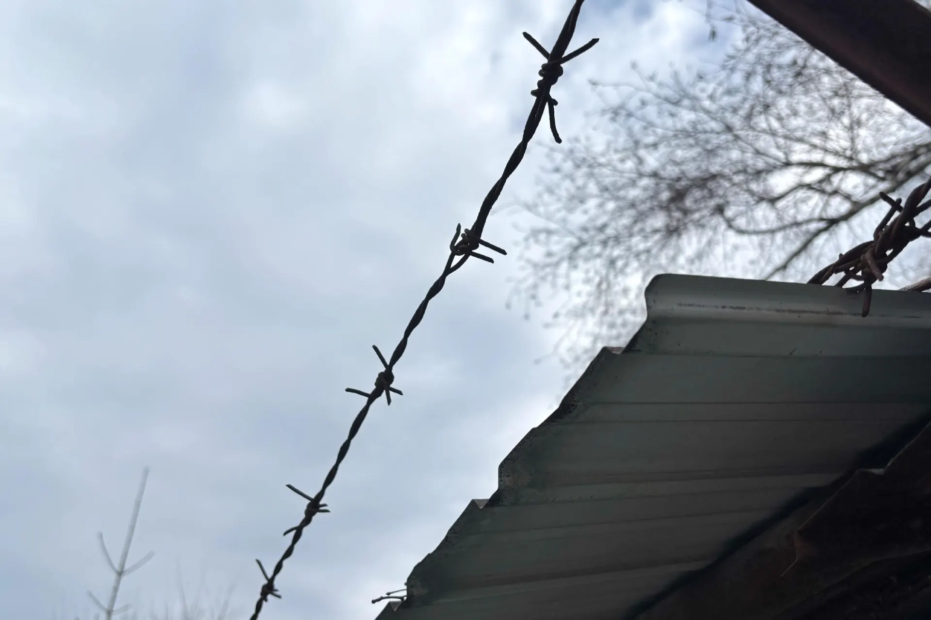 Жительницу Рязанской области поместили под стражу по делу об убийстве сожителя:, по версии следствия, она нанесла ему несколько ножевых ранений в голову.