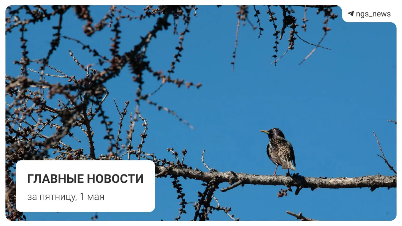 Коротко о главном: в детском спортзале в Татарске частично обрушился потолок, люди не пострадали. Также — заметили состав метро из старых вагонов, объявлена дата запуска фонтана в парке, прошёл первомайский марш коммунистов и на площади Маркса произошёл погром.