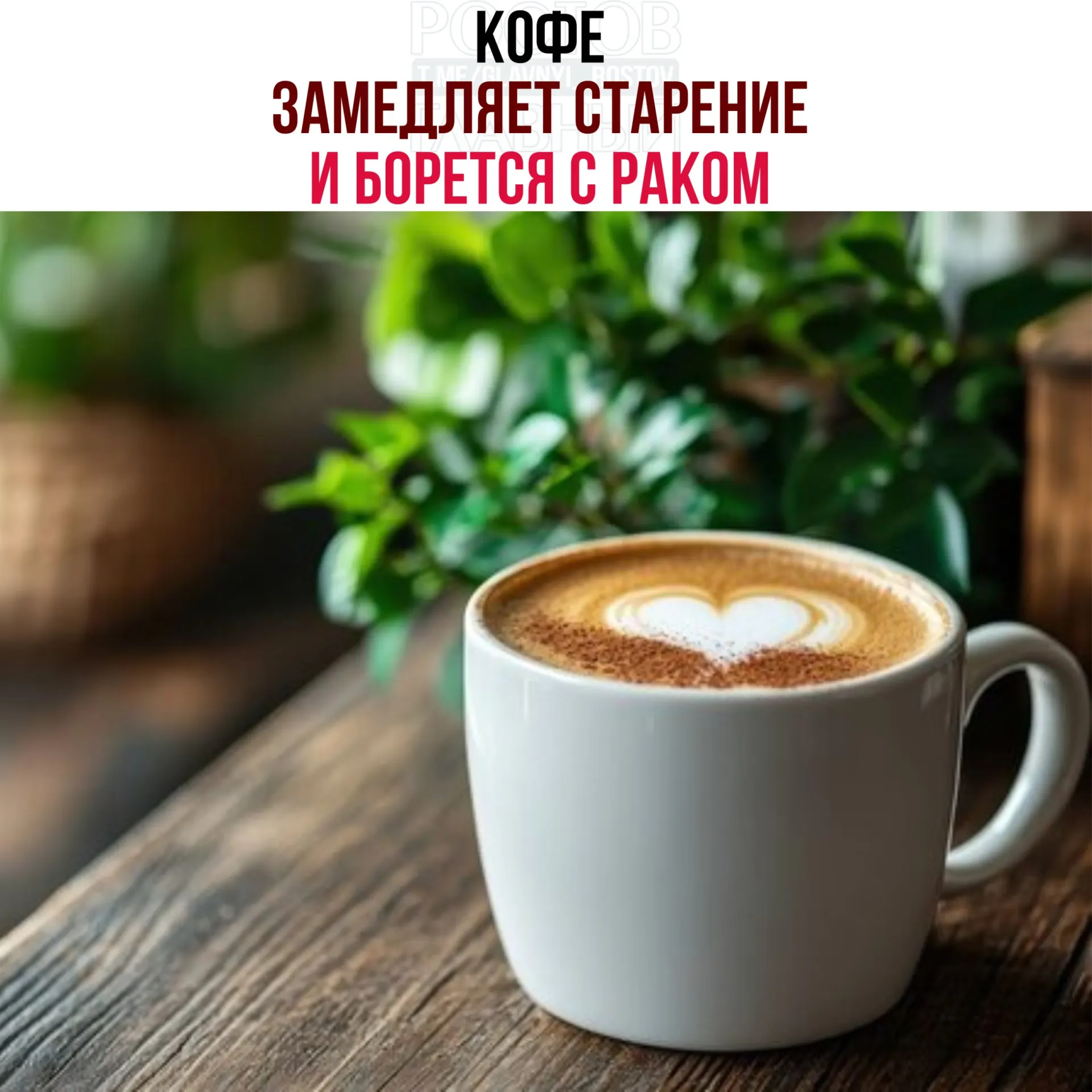 В зёрнах кофе обнаружены кислоты и полифенолы, усиливающие работу белка NR4A1. Это снижает воспаление, ускоряет восстановление тканей и замедляет рост опухолевых клеток — однако для практических выводов нужны дальнейшие исследования.