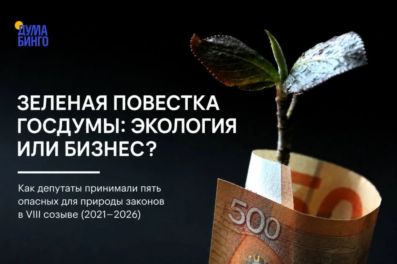 Анализ законодательной активности за пять лет показывает: ряд принятых парламентом инициатив ослабил природоохранное регулирование. Большинство решений проходили при поддержке партии власти, но иногда возникали дискуссии и отдельные голоса «против».