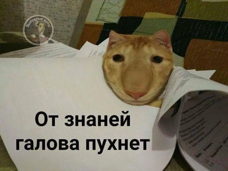 Минспорт планирует ввести в тестовом режиме норматив по управлению небольшим дроном; при успешной проверке с следующего года значок ГТО по этому испытанию будет доступен по всей стране.