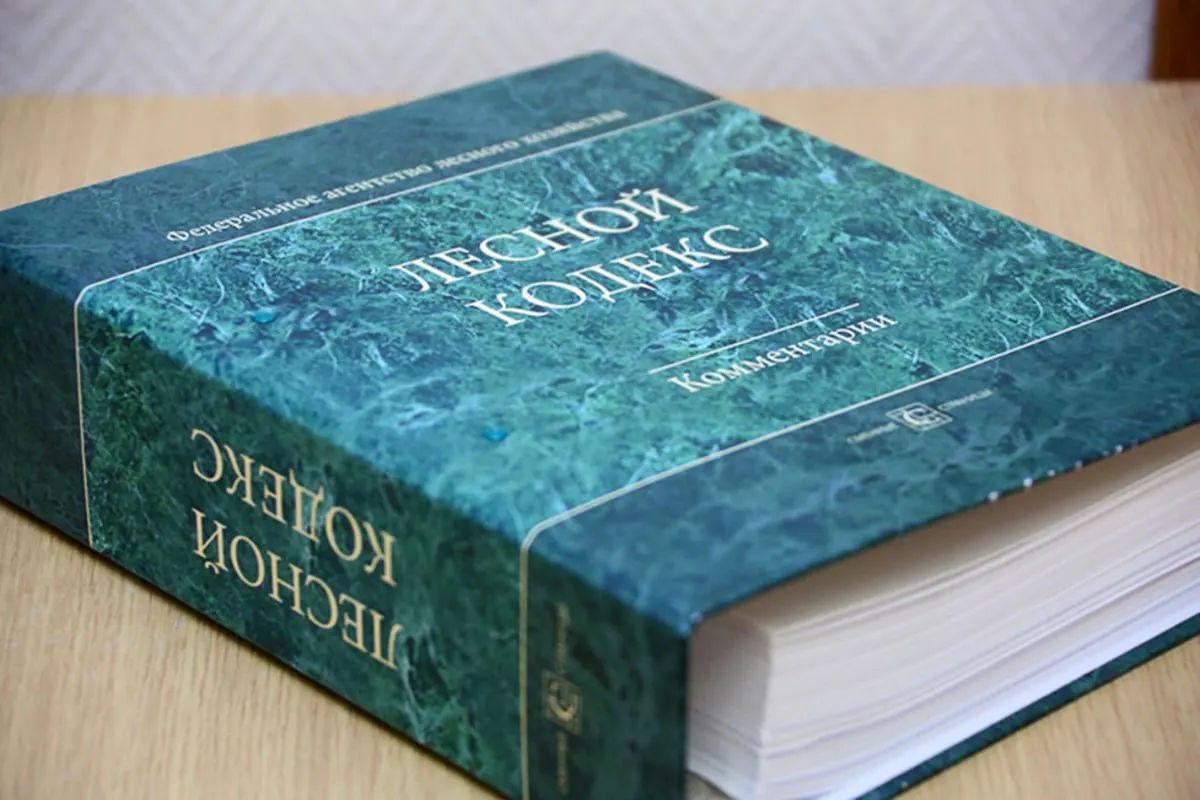 С момента принятия Лесного кодекса 2006 года в него внесли 79 пакетов поправок; эксперт по лесному хозяйству считает, что кодекс устарел и требует полной переработки в более простую и компактную форму.