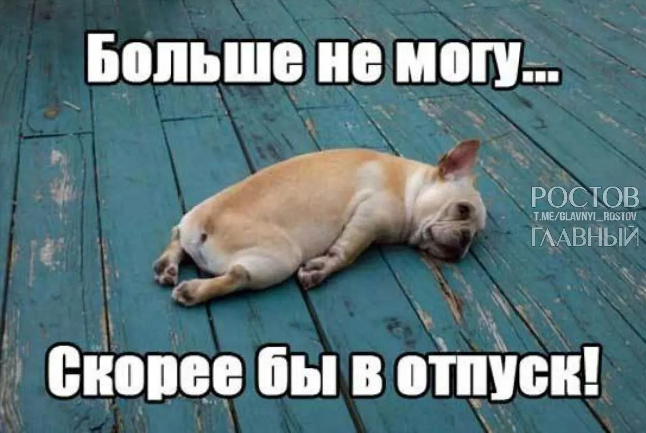 В Госдуме предложили расширить минимальную продолжительность ежегодного отпуска до 35 дней, чтобы компенсировать включённые в него выходные и снизить риск выгорания у работников.