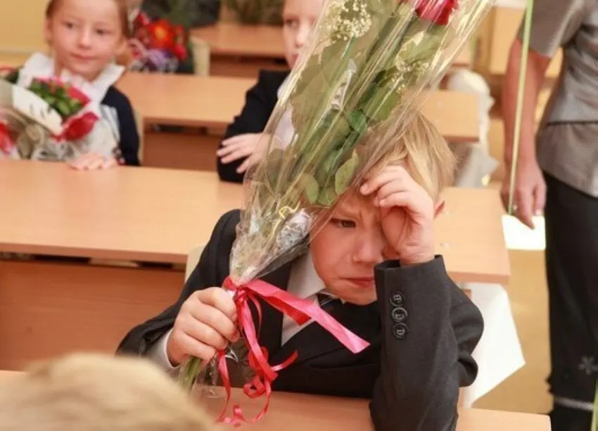 В Минпросвещения заявили, что 11-летняя система обучения остаётся оптимальной; пока не рассматривают варианты её сокращения или удлинения.