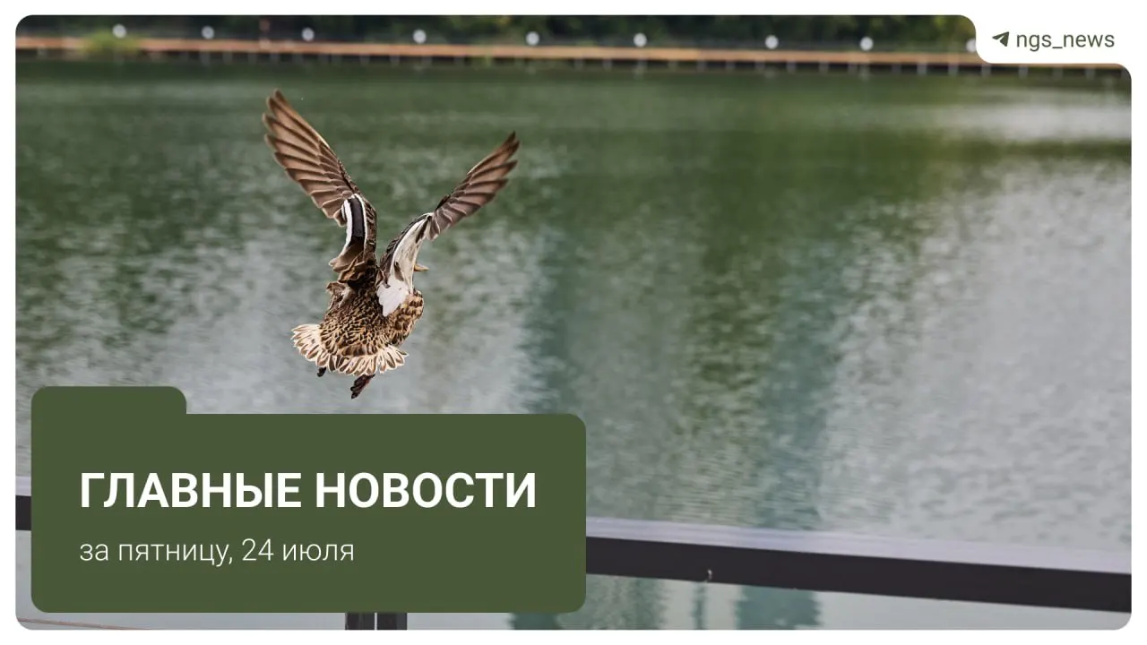 Краткий обзор ключевых событий: снижение ключевой ставки, снос незаконных павильонов, приговор по делу о совращении, упрощение аренды в Новосибирске и домашний арест бывшего министра.