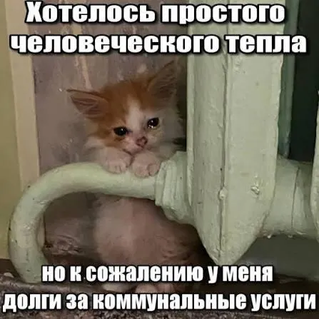 ВС подтвердил, что взыскание задолженностей по капремонту старше срока исковой давности (3 года) не может быть отражено в платёжках и принудительно взыскано — это даёт защиту должникам и облегчает ситуацию для покупателей вторичного жилья и наследников.