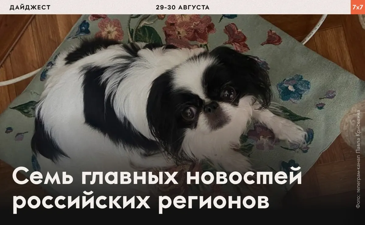 Сводка по стране: принуждение к физическим нагрузкам, давление на активистов, запреты агитации и призыв подписаться на рассылку.