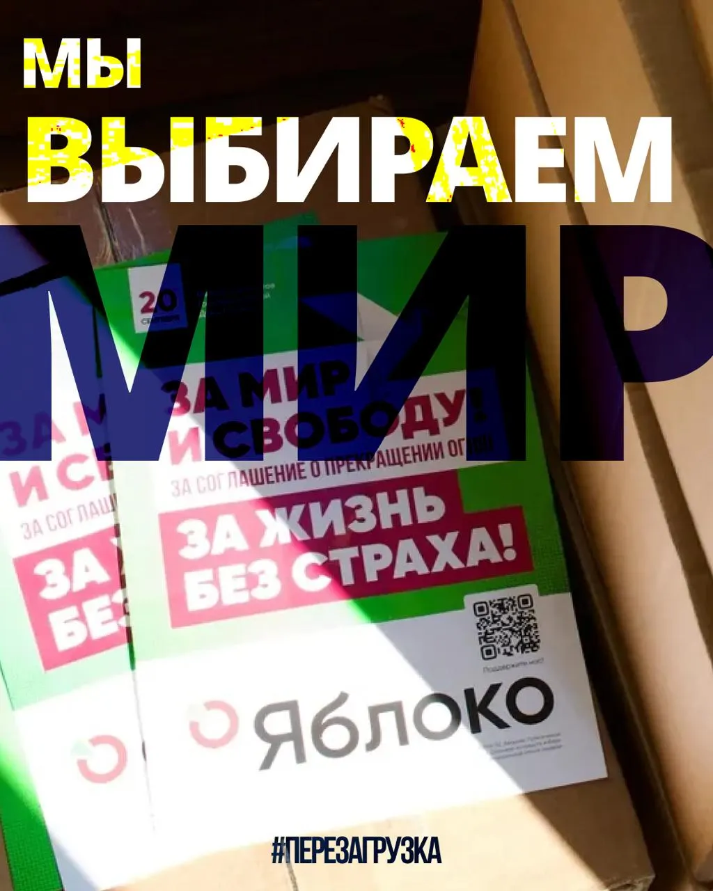Кампания за мир и свободу набирает обороты: в 53 регионах действует 135 кандидатов.