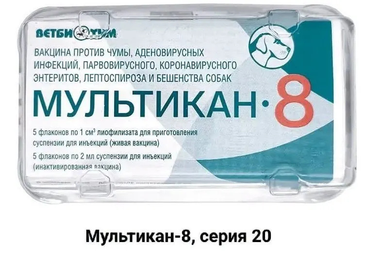 Покрывая случаи гибели собак после вакцинации вакциной Мультикан-8, владельцы требуют огласки и расследования, выявляющих возможные нарушения.