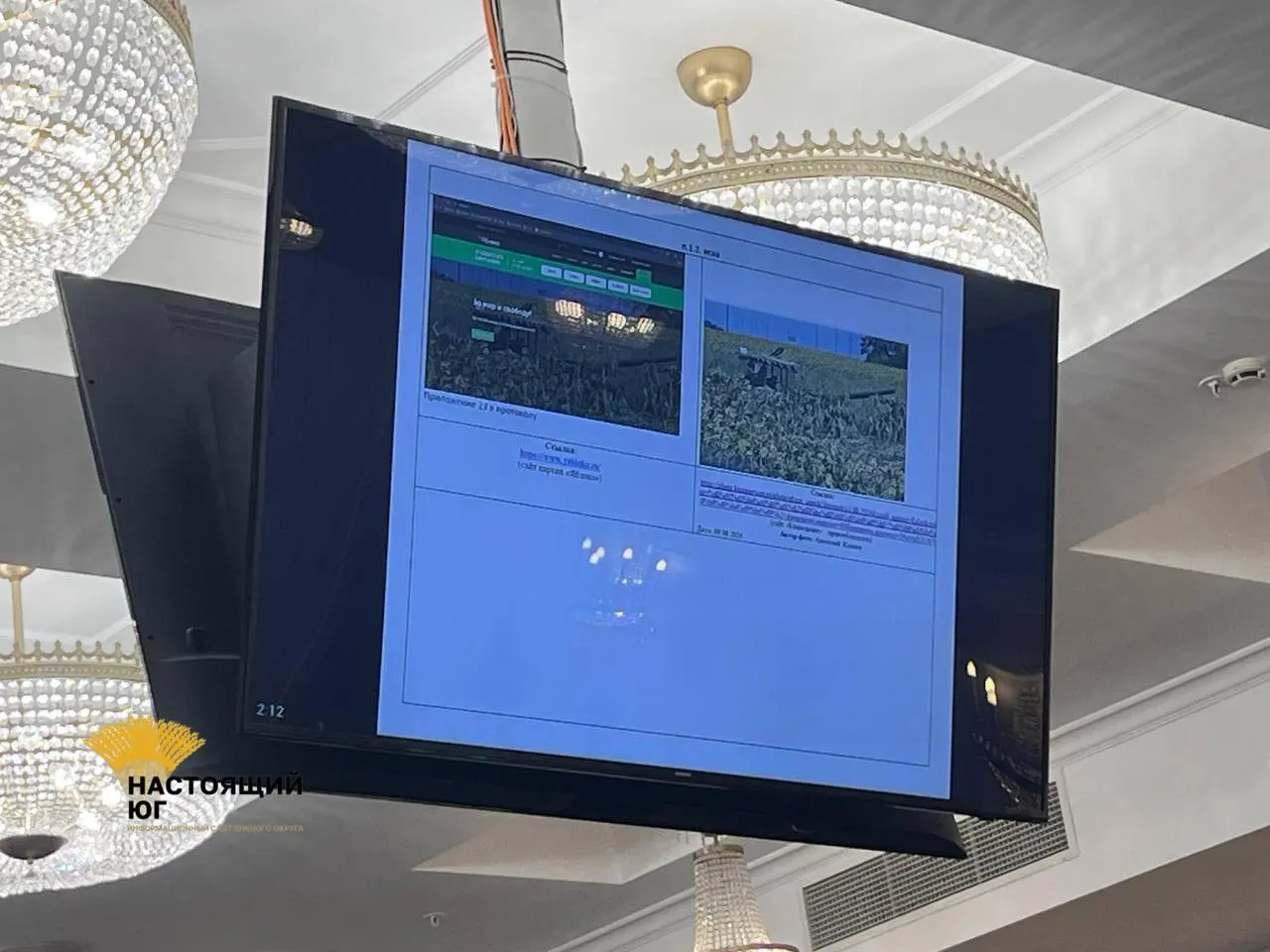 В Верховном суде представитель партии «Родина» предъявил иск к материалам партии «Яблоко», заявляя, что они нарушают правила агитации и авторские права. Истец требует отмены регистрации списка.