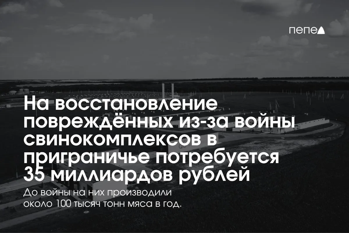35 млрд рублей выделят на восстановление свинокомплексов в Белгородской, Курской и Брянской областях после боевых действий и атак беспилотников.