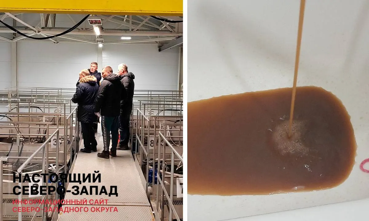 Доля карельского населения, обеспеченного качественной питьевой водой, снизилась до 57,9% в 2025 году; причина — изношенные сети и нехватка очистных сооружений в регионе и соседних областях Северо-Запада.